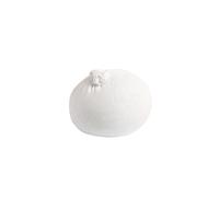 Bille de magnésium Climbing Technology Blanc 35g