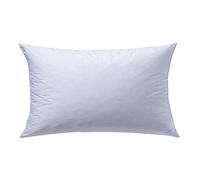 Billerbeck 5452600001 S 28 Oreiller en fibre à base d'aloe vera 40 x 80 cm Blanc