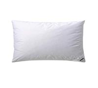 Billerbeck Coussin en Duvet Martina - Coussin en 40 x 80 cm - Oreiller avec Pouvoir de Soutien Ferme - Duvet d'oie 15% et Plumes 85%