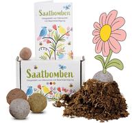 Billes De Fleurs Faites À La Main,Paquet De 15 Bombes De Graines Colorées Bien-Être Des Abeilles-Bombe De Graines Écologique Avec Plus De 50 Espèces De Fleurs Et D'herbes-Graines De Fleurs Cadeau