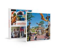 Billet Pour Le Parc Astérix : 1 Entrée Enfant En 2026 - Smartbox - Coffret Cadeau Multi-Thèmes