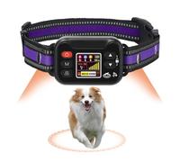 Billg Cloture Electrique pour Chien, 3 Modes Clôture Anti-Fugue, Résistant à L’Eau Collier de Dressage pour Grands Espaces Ouverts et Utilisation en Extérieur, Portée de 20 à 2000 M