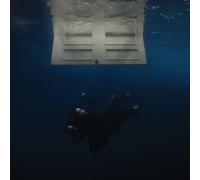 Hit Me Hard and Soft - Vinyle coloré - Édition du premier anniversaire - INTERSCOPE