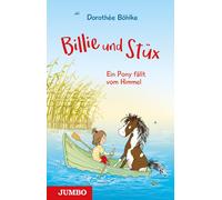 Billie Und Stüx 01 - Ein Pony Fällt Vom Himmel