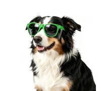 Billionchains Lunettes de soleil pour chien avec sangle réglable - Protection UV, vent, poussière - Avec sangle réglable - Accessoires photo pour grands chiens - Vert