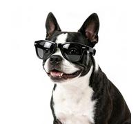 Billionchains Lunettes de soleil pour chien - Protection UV, vent, poussière - Avec sangle réglable - Accessoire photo pour chien de taille moyenne - Noir