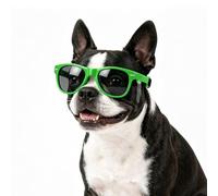 Billionchains Lunettes de soleil pour chien - Protection UV, vent, poussière - Avec sangle réglable - Pour fête, cosplay, accessoires photo pour chiens de taille moyenne - Vert