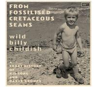 Billy Childish - From Fossilised Cretaceous Seams: A Short History Of His Song And Dance Groups [Compact Discs]