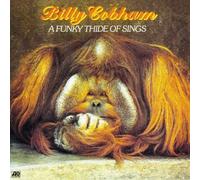 Billy Cobham - Funky Thide of Sings (en anglais)
