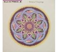 BILLY JOE WALKER JR. - universal language (MCA 6247 LP)