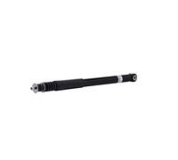 Amortisseur Bilstein B4-19-242859