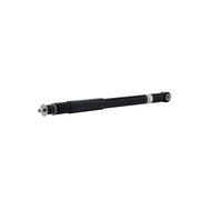 Amortisseur Bilstein B4-19-242859