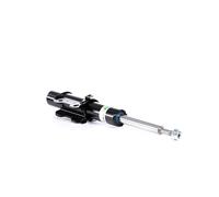 BILSTEIN 22-184238 Amortisseur