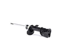 BILSTEIN 22-226556 Amortisseur