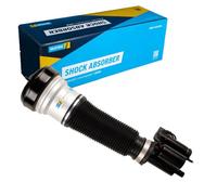BILSTEIN 44-051518 Amortisseur pneumatique amortisseur Essieu avant gauche Compatible avec MERCEDES-BENZ Classe S Berline W220