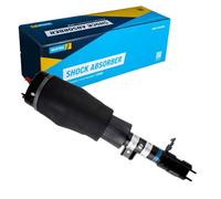 BILSTEIN 45-260230 Amortisseur pneumatique Essieu avant gauche Compatible avec LAND ROVER Range Rover III L322
