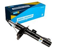 BILSTEIN Amortisseur Jambe de suspension Pression de gaz Essieu avant gauche Compatible avec FORD Transit Connect Mk1 Van P65, P70, P80 22-143372