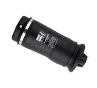 BILSTEIN Ressort pneumatique Soufflet à air suspension pneumatique 40-247687 à