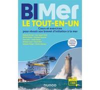 BIMer - Le tout-en-un Stéphane Bonnaud (Auteur), Christian Rousseau (Auteur), Jean-Jacques Calliet (Auteur), Nicolas Cheymol (Auteur), Dominique Ducourant (Auteur), Pierre Fabre (Auteur), Joseph Gimen