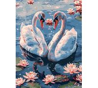 Bimkole 5D Diamond Painting DIY Kits Cygne, Animal Broderie Diamant Kits De Broderie Au Point De Croix Strass Rond Résine Peinture Décor à La Maison 30x40cm