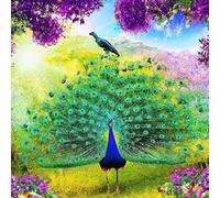 Bimkole 5D Diamond Painting DIY Kits Paon, Fleur Animal Plume De Paon Broderie Diamant Kits De Broderie Au Point De Croix Strass Rond Résine Peinture Décor à La Maison, (40x40 cm)