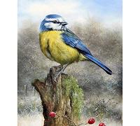 Bimkole 5D Diamond Painting DIY Kits Souche D'oiseau, Animaux Broderie Diamant Kits De Broderie Au Point De Croix Strass Rond Résine Peinture Décor à La Maison, (30x40 cm)