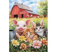 Bimkole 5D DIY Diamond Painting Kits Chat Cochon, Fleur, Animal Broderie Diamant Kits De Broderie Au Point De Croix Strass Rond Résine Peinture Décor à La Maison 30x40 cm