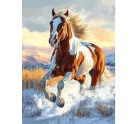 Bimkole 5D DIY Diamond Painting Kits Cheval, Animal Broderie Diamant Kits De Broderie Au Point De Croix Strass Rond Résine Peinture Décor à La Maison 30x40 cm