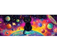 Bimkole 5D DIY Grand Diamond Painting Kits Planète De L'univers, Chats Broderie Diamant Kits De Broderie Au Point De Croix Strass Rond Résine Peinture Décor à La Maison 30x80 cm