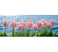 Bimkole 5D DIY Grand Diamond Painting Kits Tulipe, Paysage Broderie Diamant Kits De Broderie Au Point De Croix Strass Rond Résine Peinture Décor à La Maison 30x80 cm