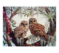 Bimkole Diamond Painting 5D DIY Diamant Peinture Chouette Bricolage Plein Forage Cristal Strass Peinture Broderie Point Décor à La Maison 30 * 40cm(f1-163)