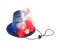 BinaryABC Costume pour chien et chat du 4 juillet - Chapeau patriotique pour animal domestique - Jour de l'indépendance - Fournitures de fête du 4 juillet