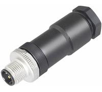 binder 99-0429-19-04 Cosse cylindrique mâle mâle, droit Nombre total de pôles: 4 Série (connecteur rond): 763 1 pc(s)