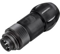 binder 99 4217 300 07 Connecteur circulaire subminiature mâle, droit Nombre total de pôles: 6 + PE 1 pc(s)