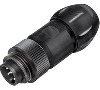 binder 99 4221 300 04 Connecteur circulaire subminiature mâle, droit Nombre total de pôles: 3 + PE 1 pc(s)