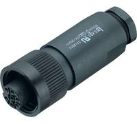 binder 99 4222 14 04-20 Prise de câble femelle, droit Nombre total de pôles: 4 + PE Série (connecteur rond): 693 1 pc(s)