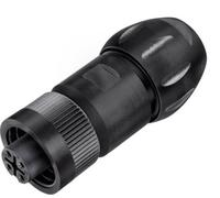 binder 99 4222 300 04 Connecteur circulaire subminiature femelle, droit Nombre total de pôles: 3 + PE 1 pc(s)