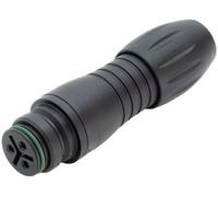 binder 99-9106-00-03 Cosse cylindrique mâle femelle, droit Nombre total de pôles: 3 Série (connecteur rond): 720 1 pc(s)