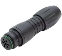 binder 99-9106-00-03 Cosse cylindrique mâle femelle, droit Nombre total de pôles: 3 Série (connecteur rond): 720 1 pc(s)