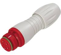 binder 99 9106 450 03 Connecteur circulaire subminiature femelle, droit Nombre total de pôles: 3 1 pc(s)