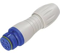 binder 99 9106 460 03 Connecteur circulaire subminiature femelle, droit Nombre total de pôles: 3 1 pc(s)