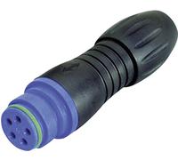 binder 99-9106-60-03 Cosse cylindrique mâle femelle, droit Nombre total de pôles: 3 Série (connecteur rond): 720 1 pc(s)