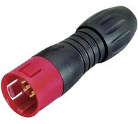 binder 99-9113-50-05 Cosse cylindrique mâle mâle, droit Nombre total de pôles: 5 Série (connecteur rond): 720 1 pc(s)