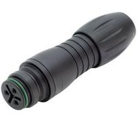 binder 99-9114-00-05 Cosse cylindrique mâle femelle, droit Nombre total de pôles: 5 Série (connecteur rond): 720 1 pc(s)