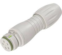 binder 99 9114 400 05 Connecteur circulaire subminiature femelle, droit Nombre total de pôles: 5 1 pc(s)