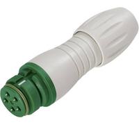 binder 99 9114 470 05 Connecteur circulaire subminiature femelle, droit Nombre total de pôles: 5 1 pc(s)