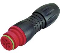 binder 99-9114-50-05 Cosse cylindrique mâle femelle, droit Nombre total de pôles: 5 Série (connecteur rond): 720 1 pc(s)