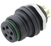 binder 99-9116-00-05 Cosse cylindrique mâle embase femelle Nombre total de pôles: 5 Série (connecteur rond): 720 1 pc(s)