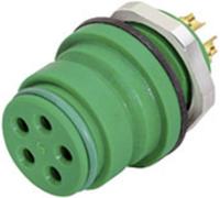 binder 99 9116 70 05 Connecteur circulaire subminiature embase femelle Nombre total de pôles: 5 1 pc(s)