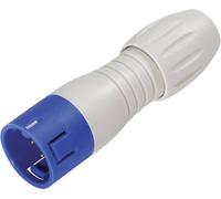 binder 99 9133 462 12 Connecteur circulaire subminiature mâle, droit Nombre total de pôles: 12 1 pc(s)